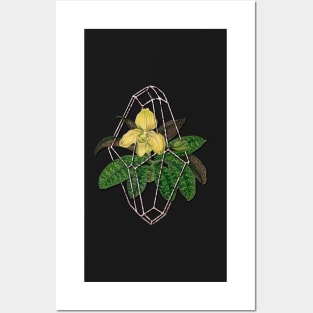 Slipper orchid in Geometric terrarium Posters and Art